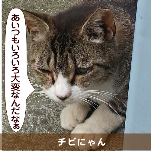 20151007_touko.jpg