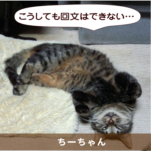 20151009_touko.jpg