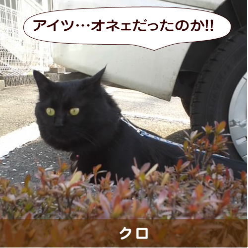 20151010_touko.jpg