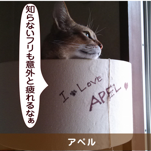 20151011_touko.jpg