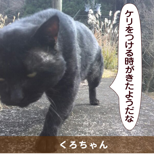 20151012_touko.jpg