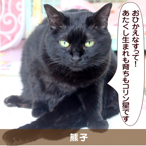 20151013_touko.jpg