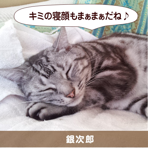 20151014_touko.jpg
