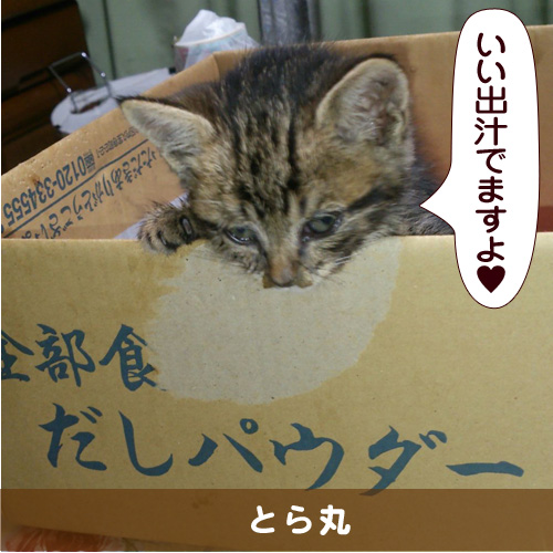 20151016_touko.jpg