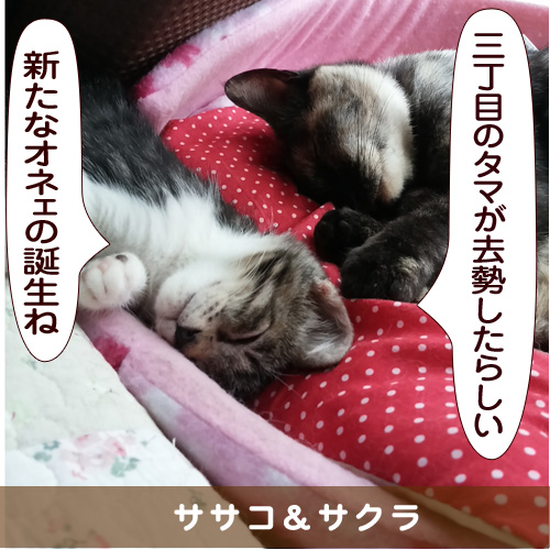 20151017_touko.jpg