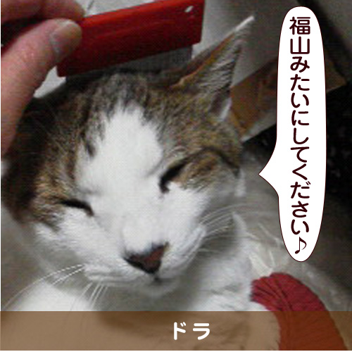 20151019_touko.jpg