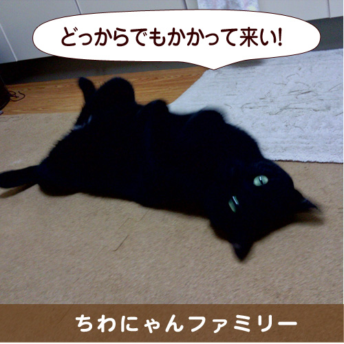 20151020_touko.jpg