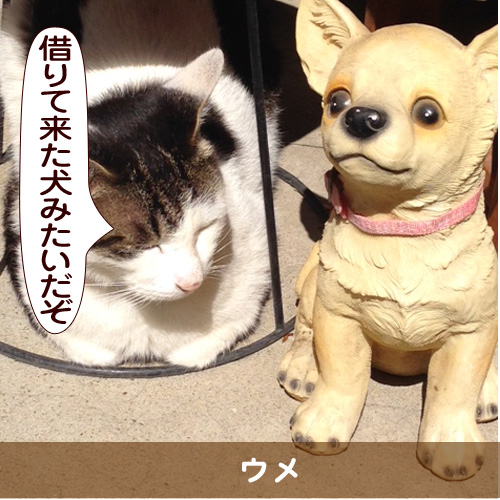 20151021_touko.jpg