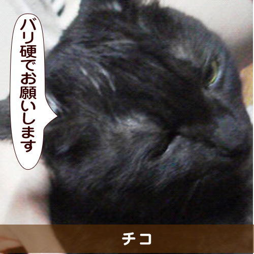 20151022_touko.jpg