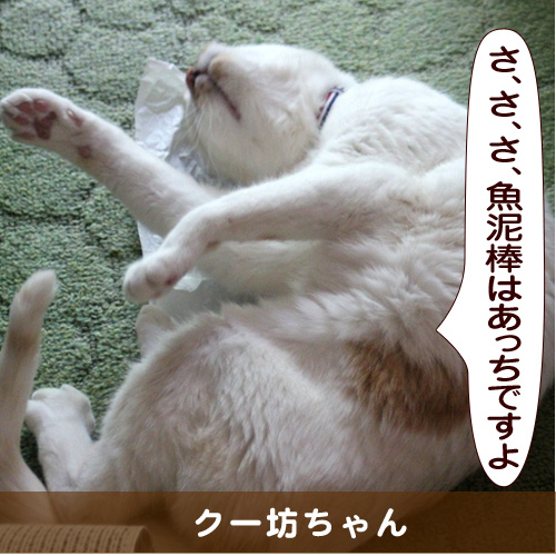 20151023_touko.jpg