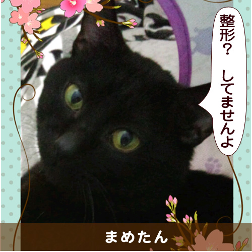 20151029_touko.jpg