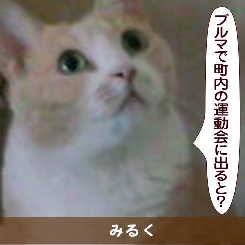 20151030_touko.jpg