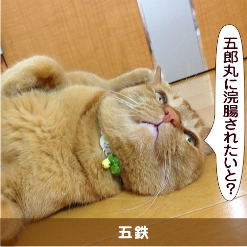 20151102_touko.jpg