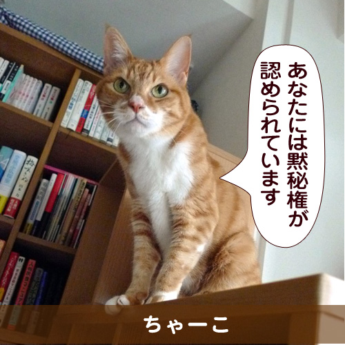 20151103_touko.jpg