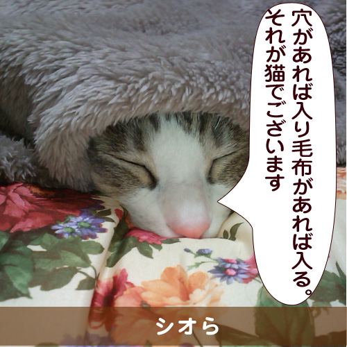 20151104_touko.jpg
