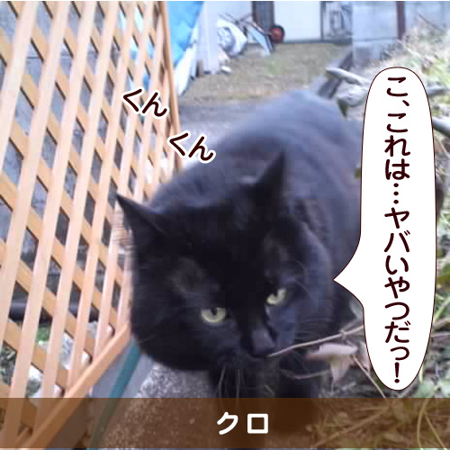 20151105_touko.jpg