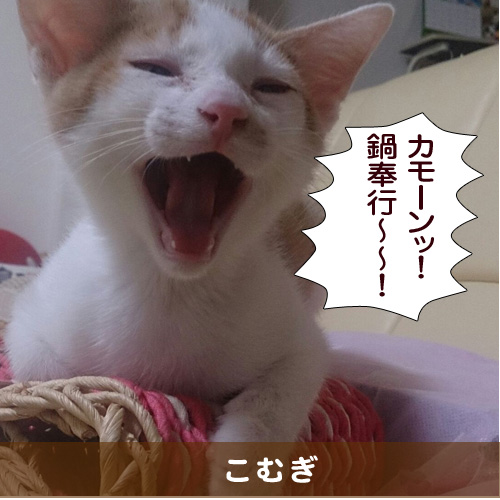 20151106_touko.jpg