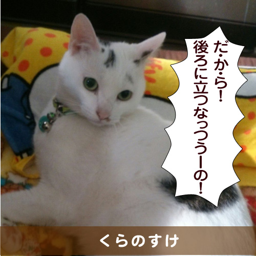 20151107_touko.jpg