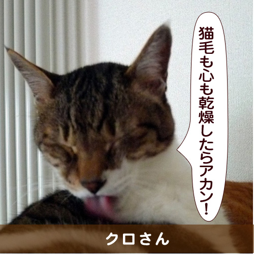 20151108_touko.jpg