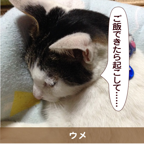 20151109_touko.jpg