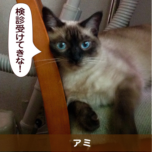 20151110_touko.jpg