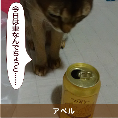 20151111_touko.jpg