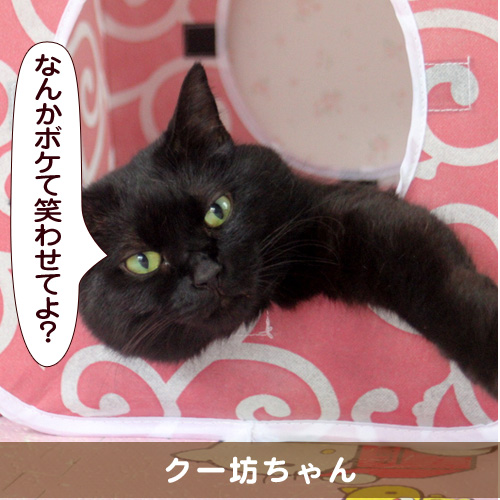20151114_touko.jpg