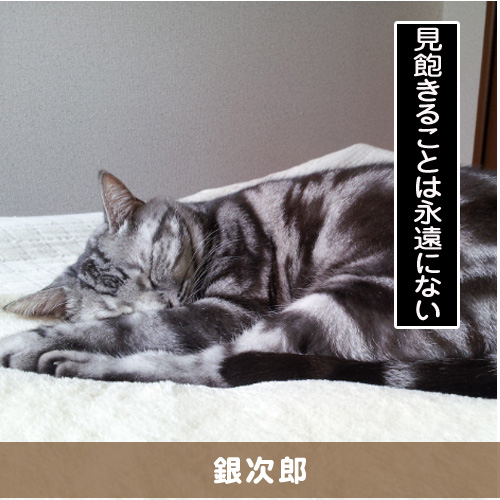 20151115_touko.jpg