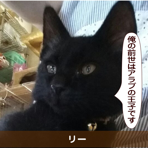 20151117_touko.jpg