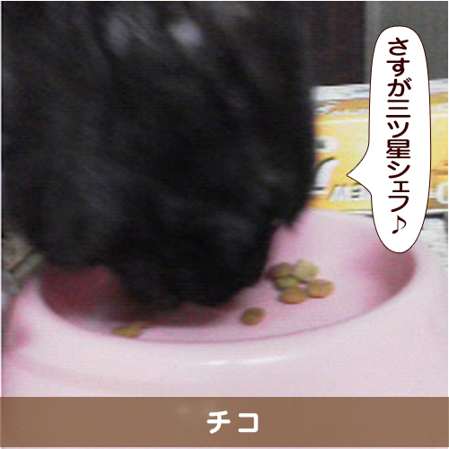 20151120_touko.jpg