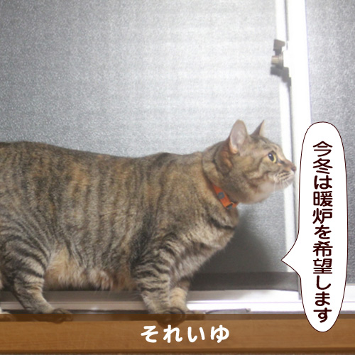 20151121_touko.jpg