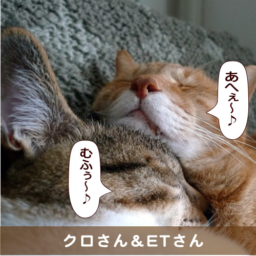 20151122_touko.jpg