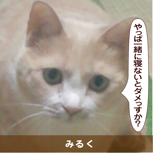 20151123_touko.jpg
