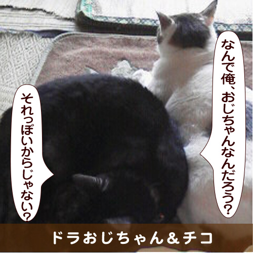 20151124_touko.jpg