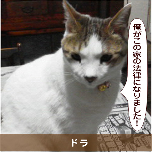 20151125_touko.jpg