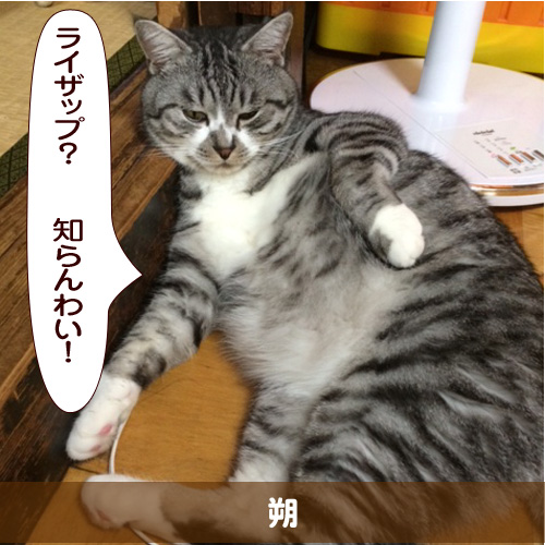 20151129_touko.jpg