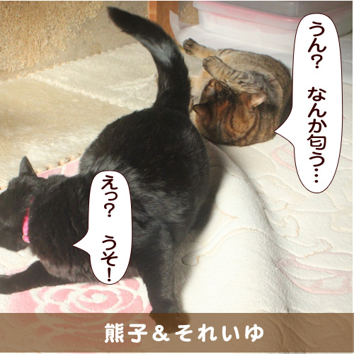 20151130_touko.jpg