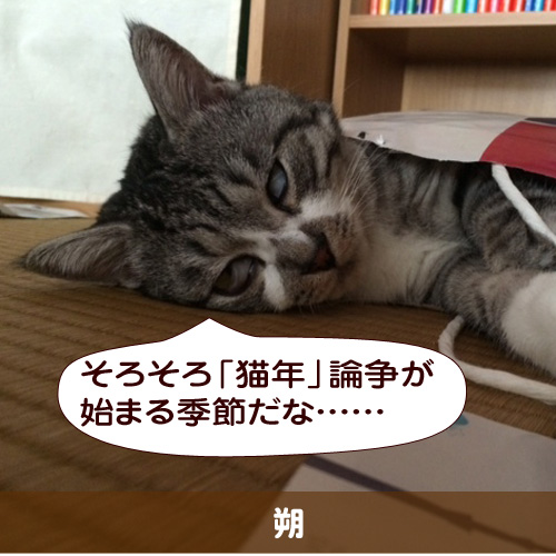 20151204_touko.jpg