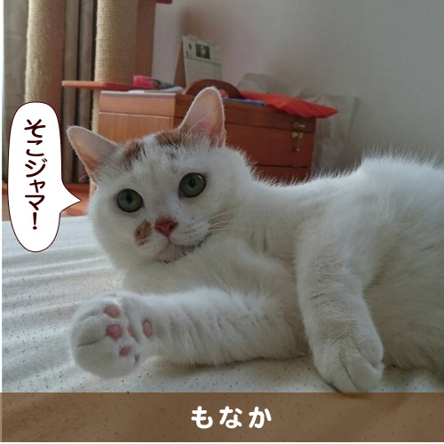 20151206_touko.jpg