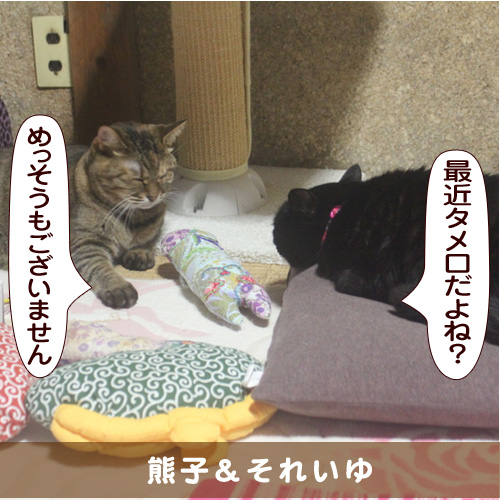 20151207_touko.jpg
