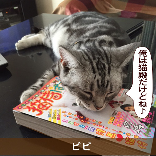 20151208_touko.jpg