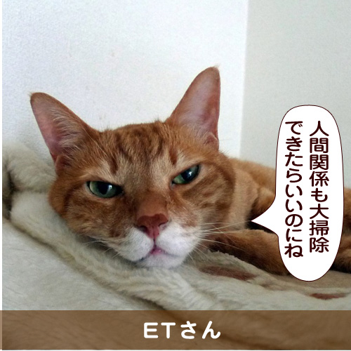 20151210_touko.jpg