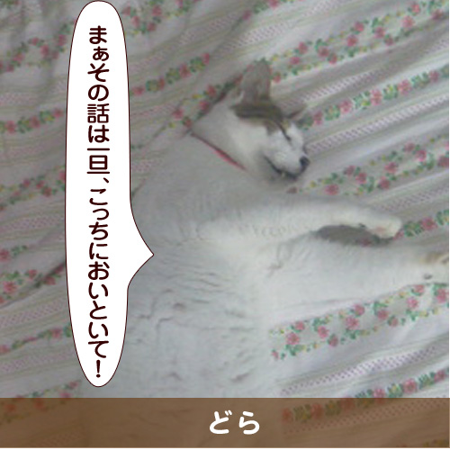 20151213_touko.jpg
