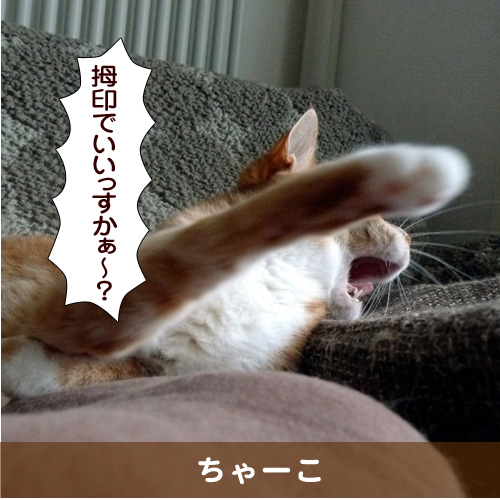 20151214_touko.jpg