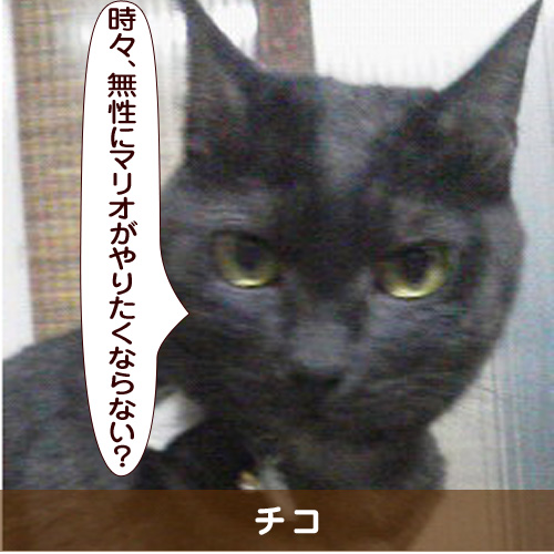 20151215_touko.jpg