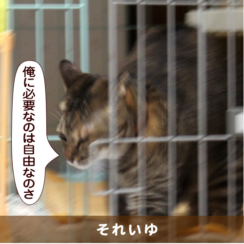 20151216_touko.jpg