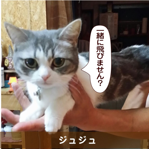20151217_touko.jpg
