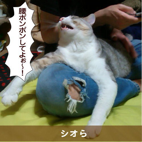 20151218_touko.jpg