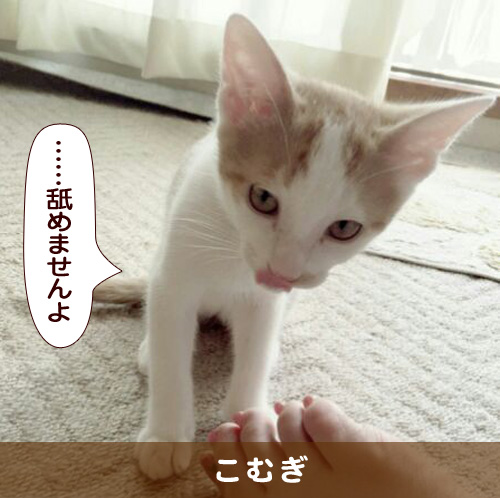 20151219_touko.jpg
