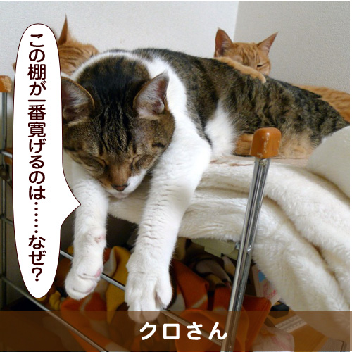 20151220_touko.jpg